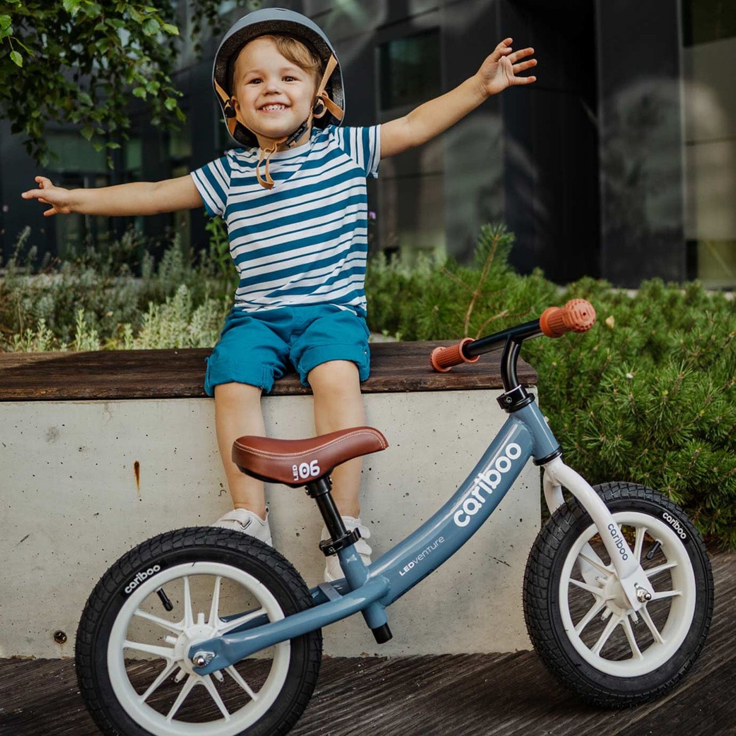 Cariboo Ledventure (azul-marrón)