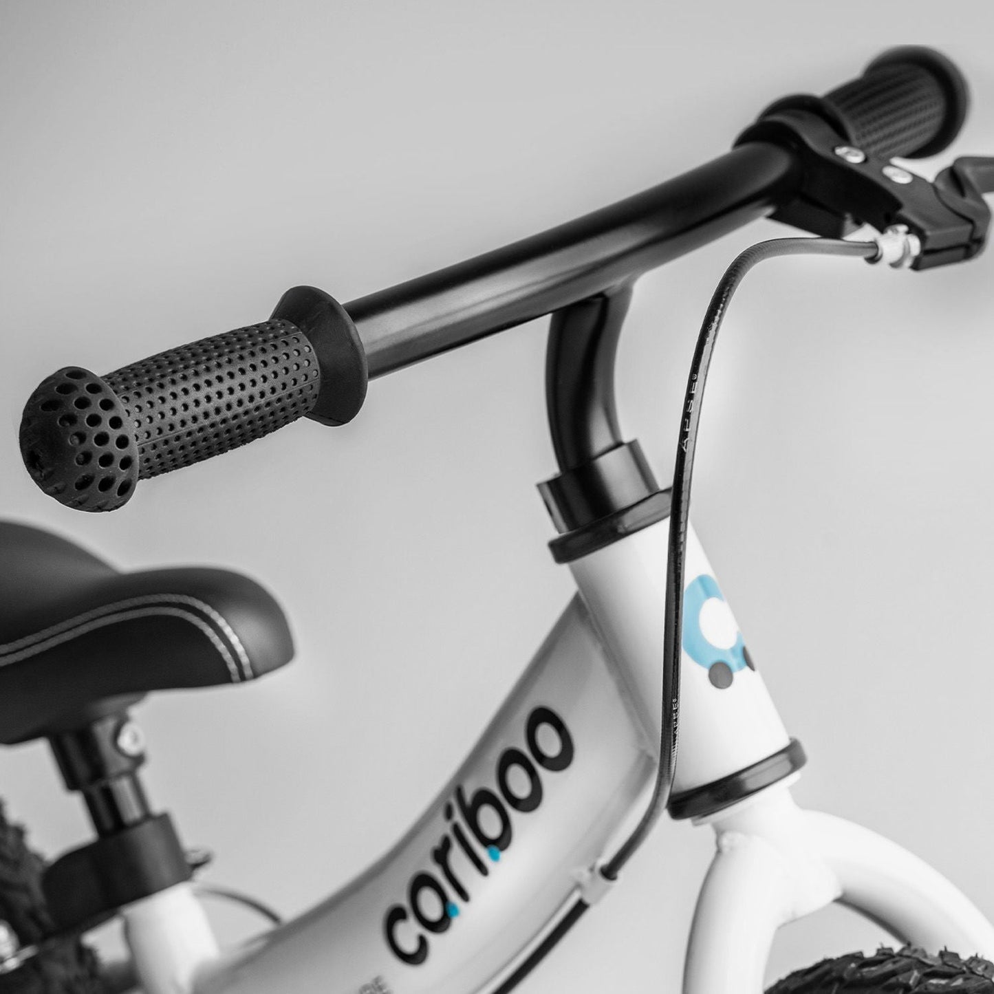 Cariboo Adventure (blue)